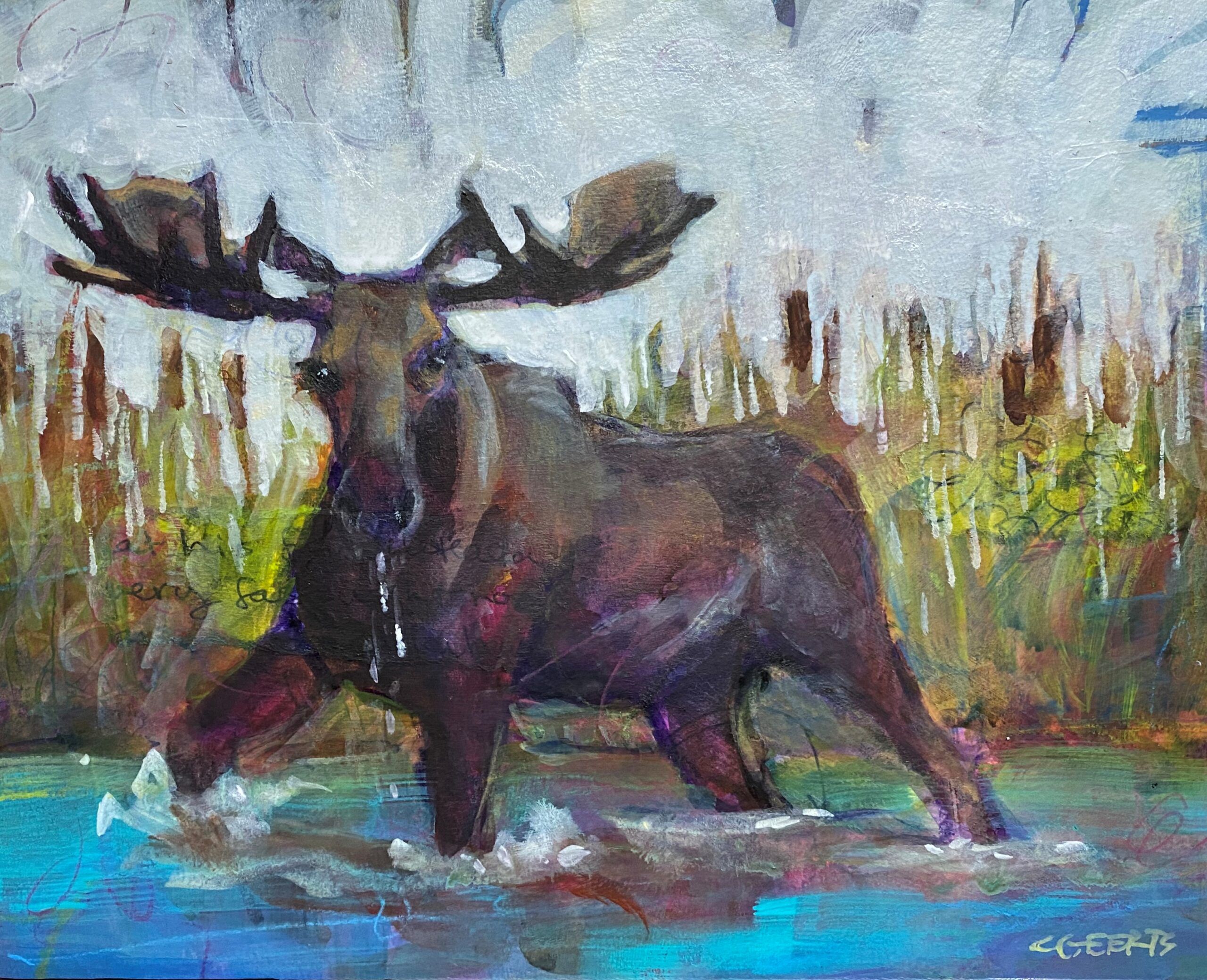 Moose in the Reeds