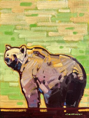 Summer Grizzly by Cameron Bird