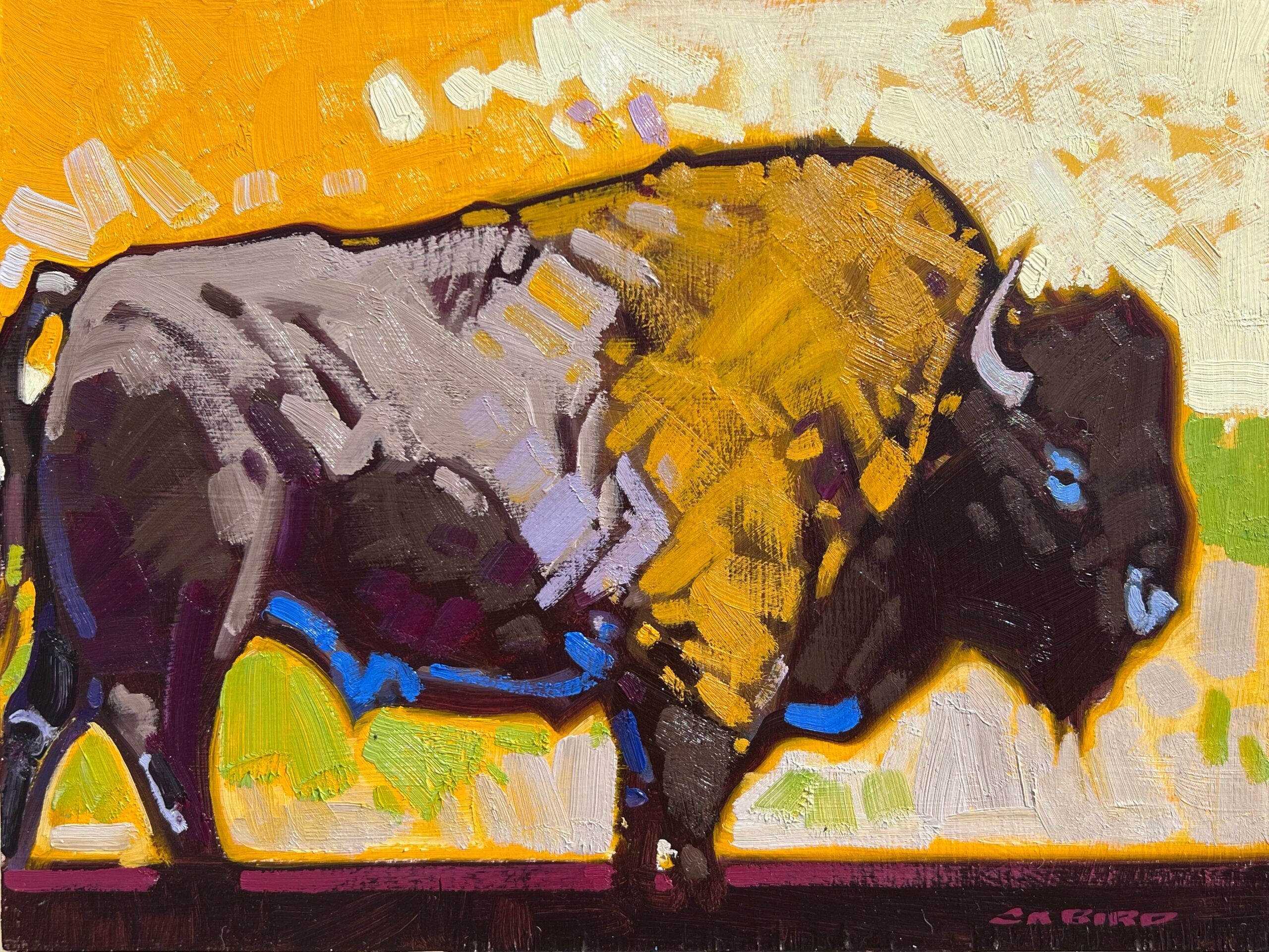 Woodland Bison