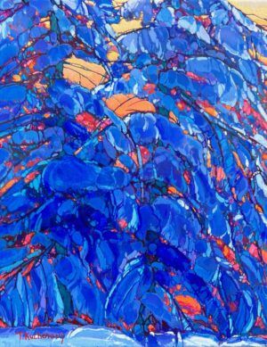 Winter Cocoon on Queenston