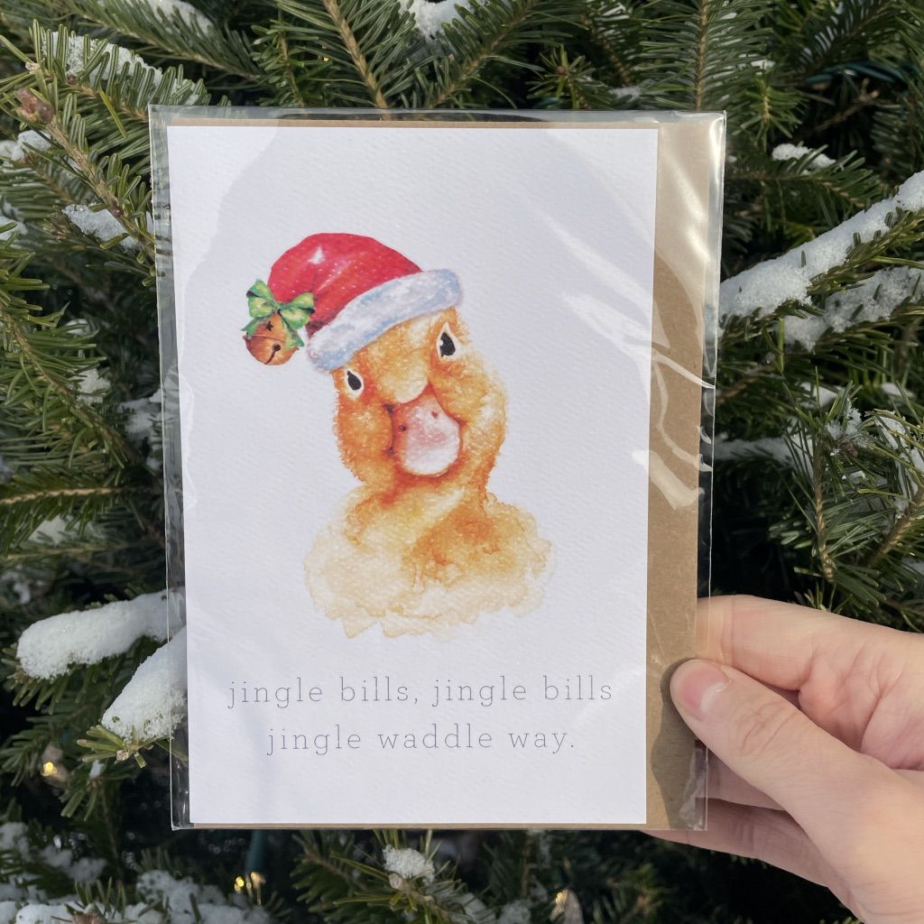 Duck Holiday Card