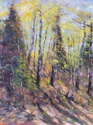 Summer Aspen Wood on Lake Katherine