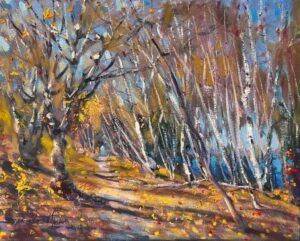 Clear Lake South Shore Trail in the Fall 1