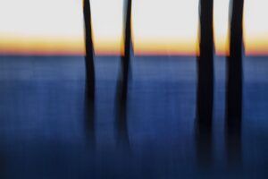 La voix des arbres 23