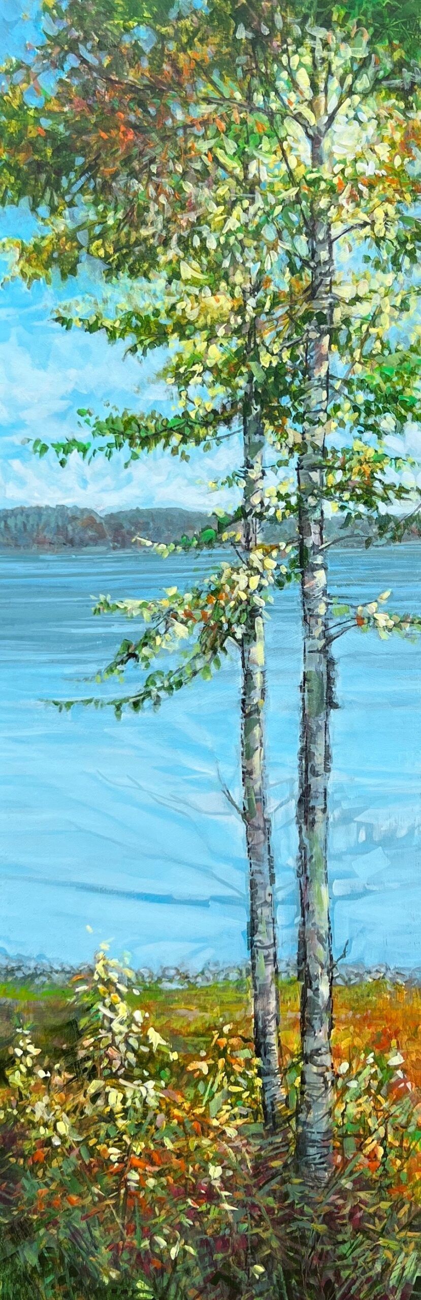 Lakeside Birches
