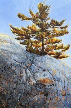 Steadfast by Jennifer Caie