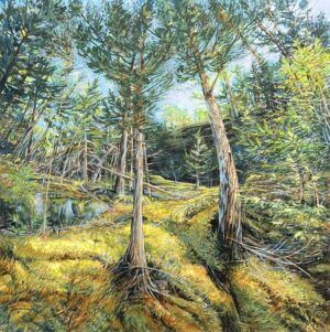 The Lay of the Land by Jennifer Caie