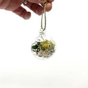 Hand Blown Glass Terrarium Ornament by Brook Drabot
