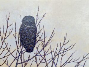 The Grey by Tracey Kucheravy