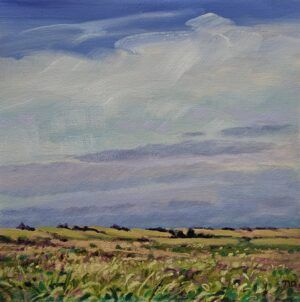 Busy Prairie by Nicki Ault